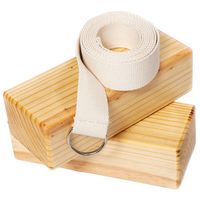 Sattva Yoga Gear Practice Set 2 Blocks & Strap